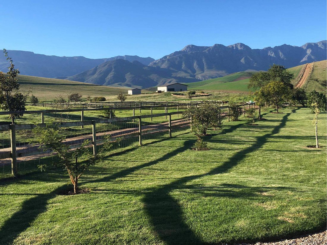 Farm Ranch in Greyton, Western Cape, South Africa 2 - 13780174