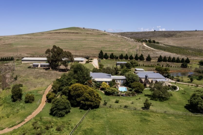 Farm Ranch in Greyton, Western Cape, South Africa 3 - 13780174