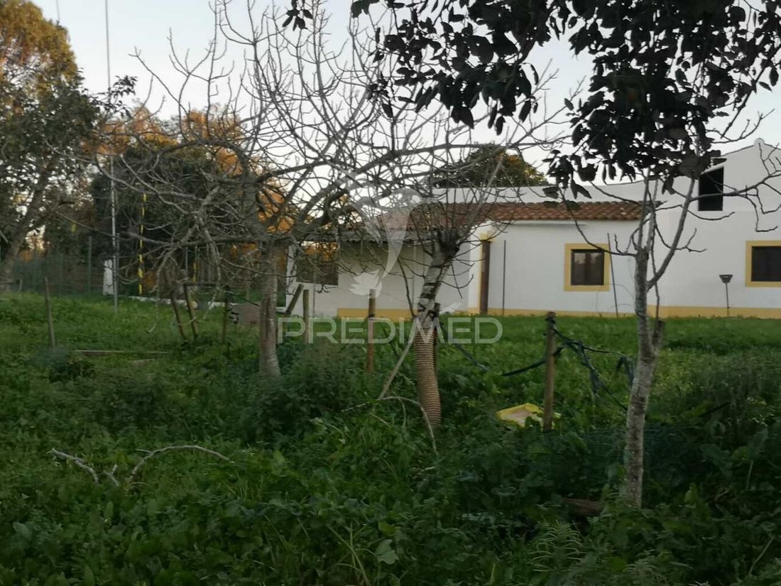 House in Santiago do Cacem, Santa Cruz e Sao Bartolomeu da Serra, Setubal, Portugal 4 - 13785758