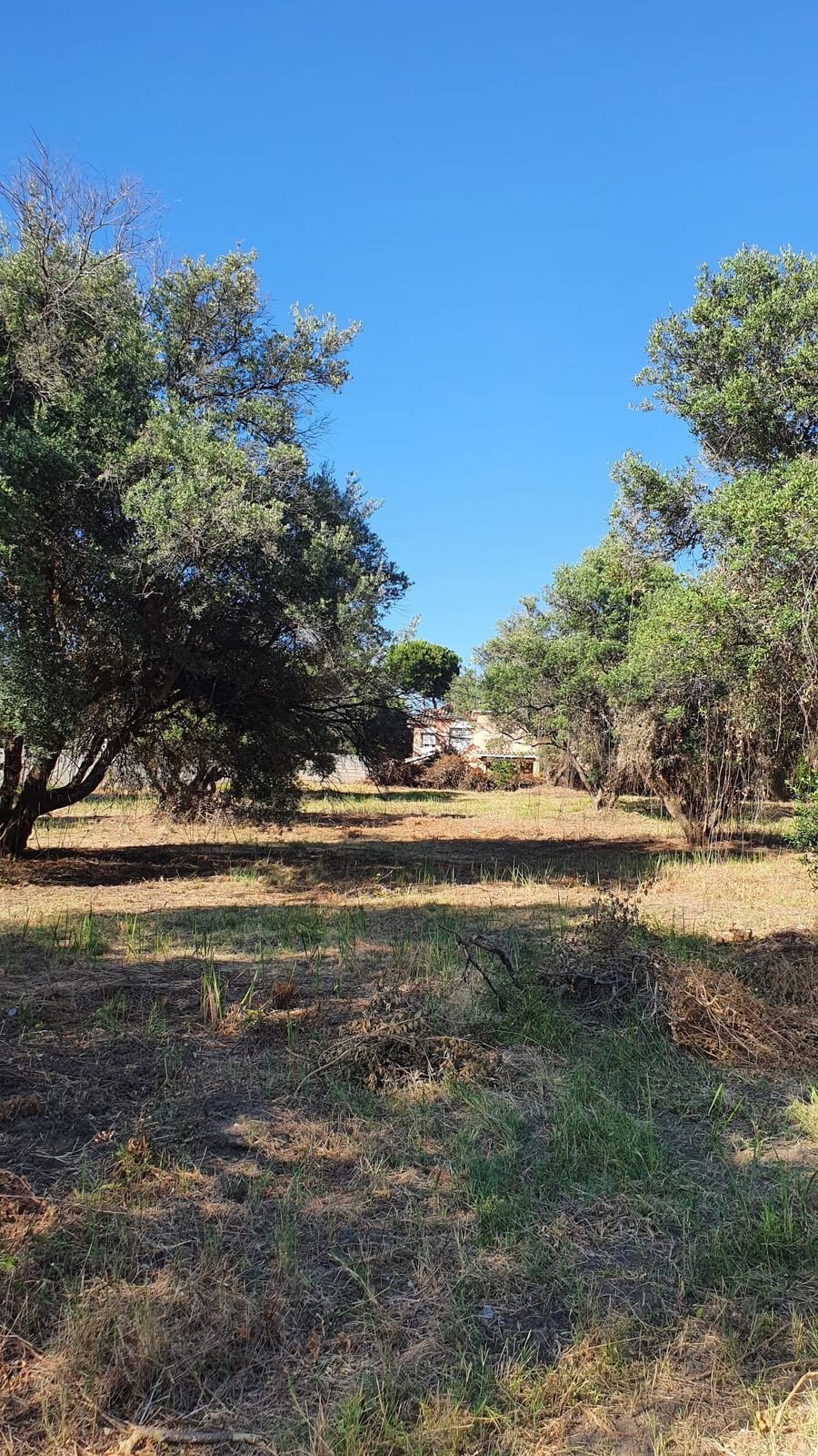 Land For Sale In San Pedro De In San Pedro De Alcántara, Andalusia
