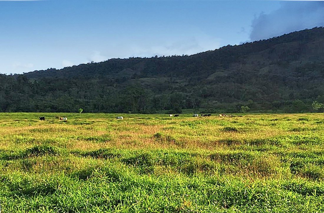 Land in Alajuela Province, Costa Rica 5 - 13789621