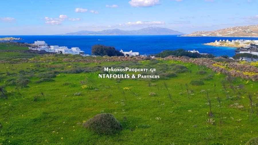 Mykonos, Aegean, Greece 2 - 13790814