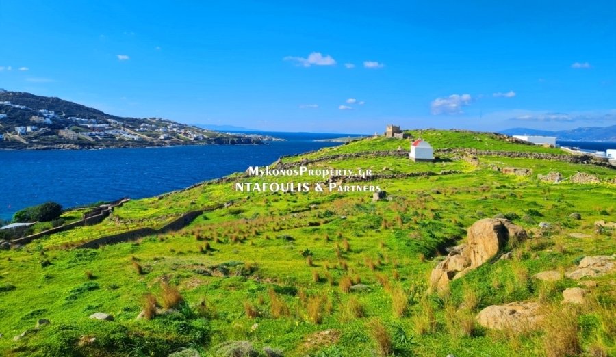 Mykonos, Aegean, Greece 5 - 13790814