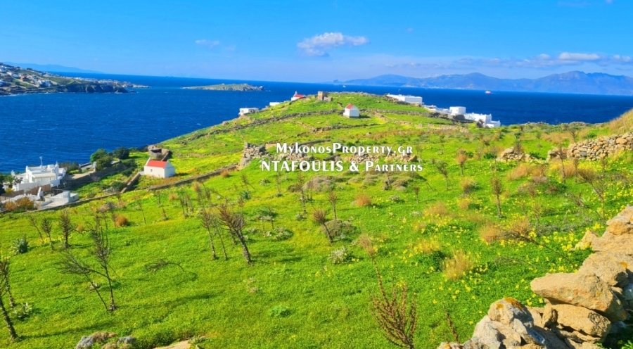 Mykonos, Aegean, Greece 1 - 13790814