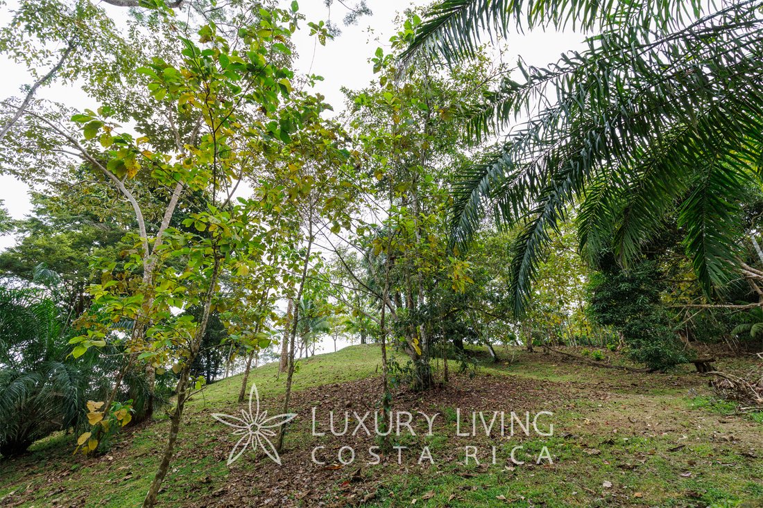 Land in Bahía Ballena, Puntarenas Province, Costa Rica 2 - 13793657
