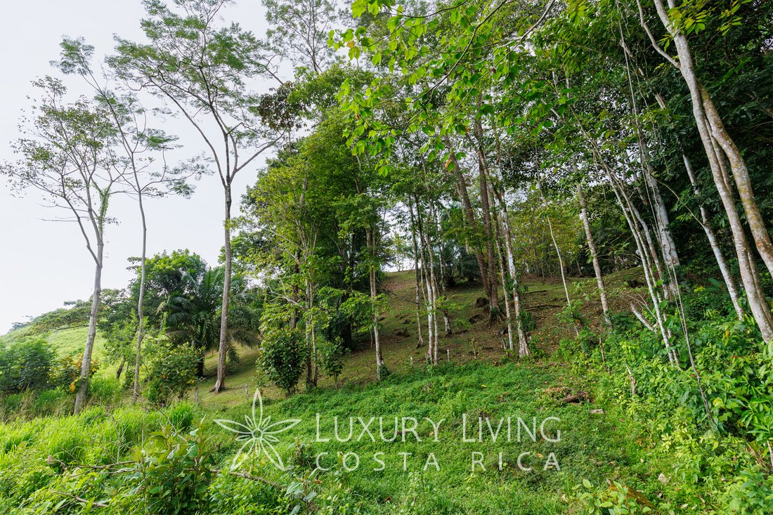 Land in Bahía Ballena, Puntarenas Province, Costa Rica 4 - 13793657