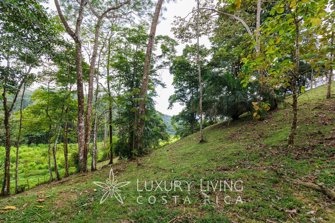 Land in Bahía Ballena, Puntarenas Province, Costa Rica 1 - 13793657