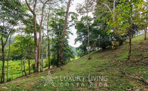 Land in Bahía Ballena, Puntarenas Province, Costa Rica 1