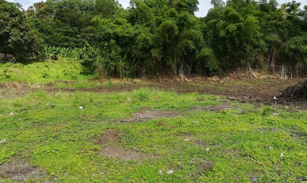 La Trinité Land In La Trinité, La Trinité, Martinique For Sale (13794051)