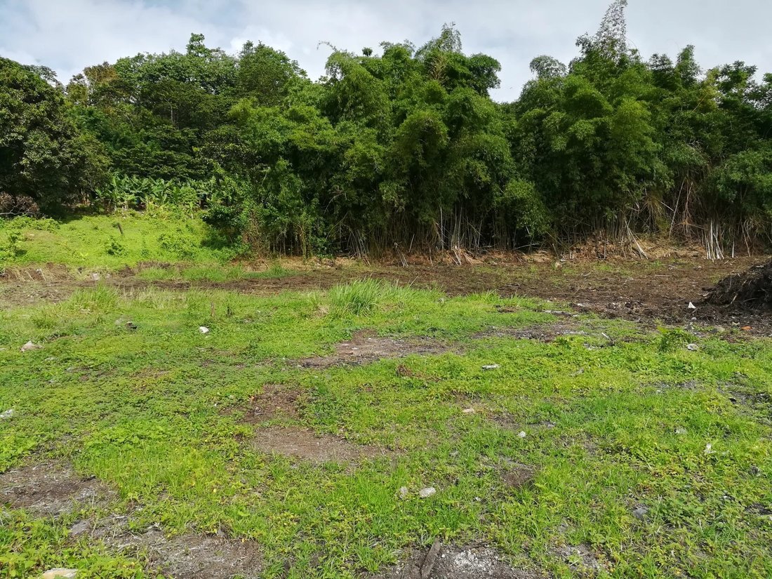 La Trinité Land In La Trinité, La Trinité, Martinique For Sale (13794051)
