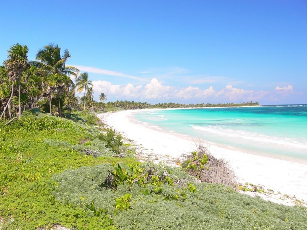 Secluded Oasis Exclusive Oceanfront Land In Mahahual, Quintana Roo, Mexico For Sale (13799349)