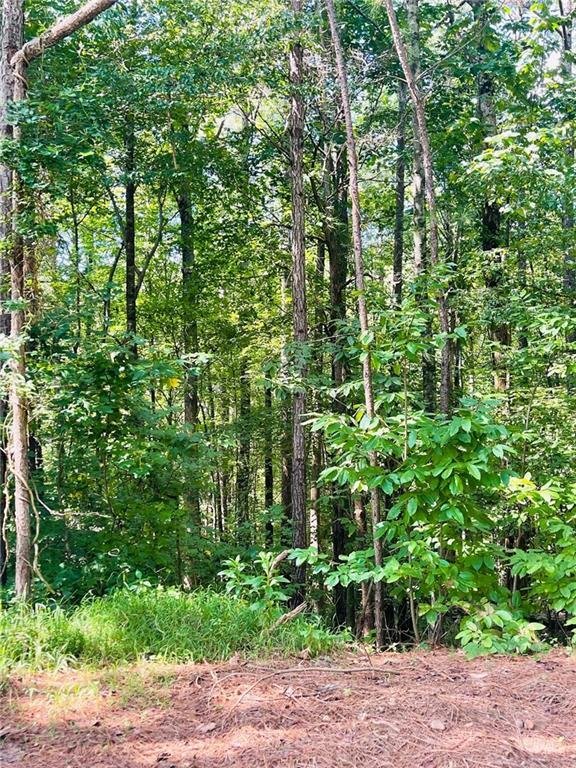 Ball Ground Land In Cumming, United States For Sale (13799280)