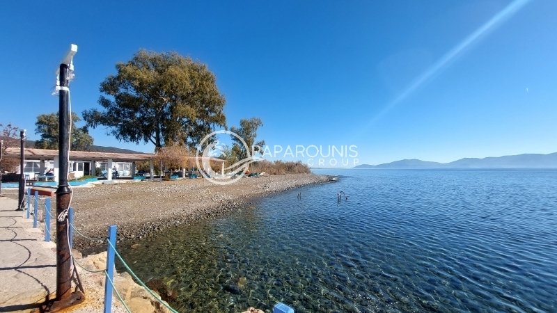 Koinotita Thermisias, Ermioni, Greece 2 - 13794701