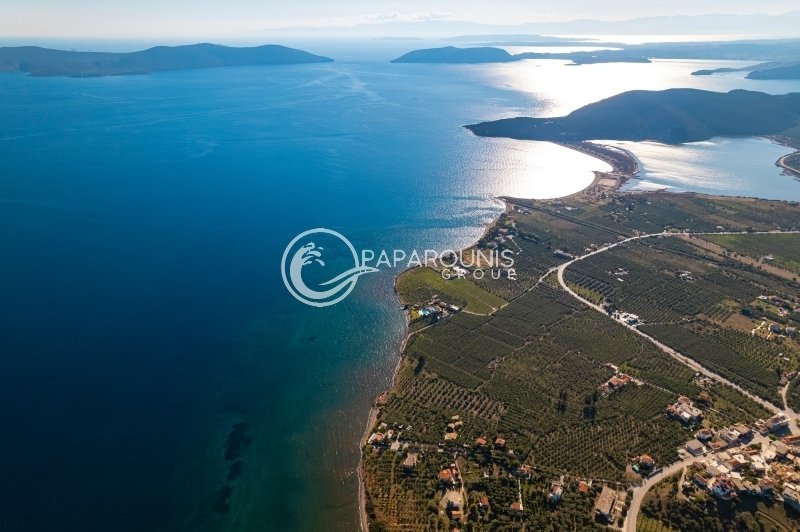 Land in Ermioni, Peloponnese, Western Greece and the Ionian, Greece 2 - 13794689