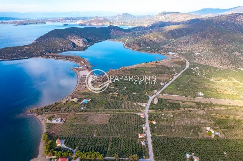 Land in Ermioni, Peloponnese, Western Greece and the Ionian, Greece 1 - 13794689