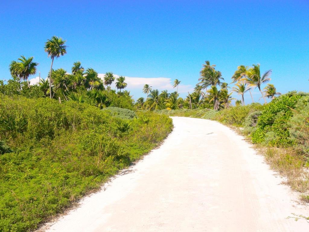 Secluded Oasis Exclusive Oceanfront Land In Mahahual, Quintana Roo
