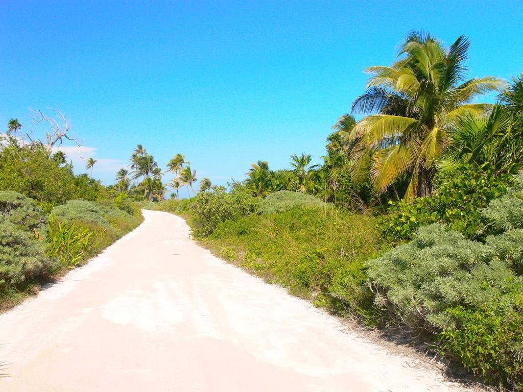 Secluded Oasis Exclusive Oceanfront Land In Mahahual, Quintana Roo