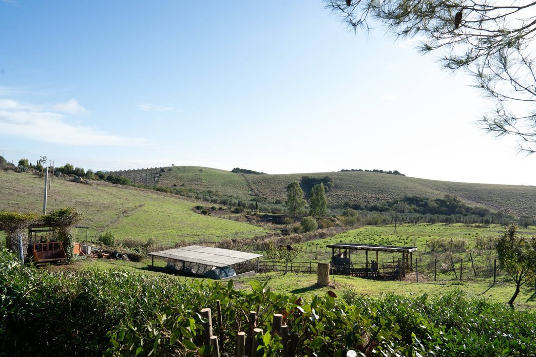 Country House in Capalbio, Tuscany, Italy 4 - 13803875