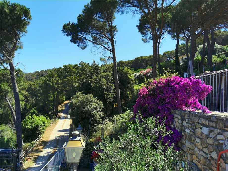 House in Marciana Marina, Tuscany, Italy 3 - 13802277