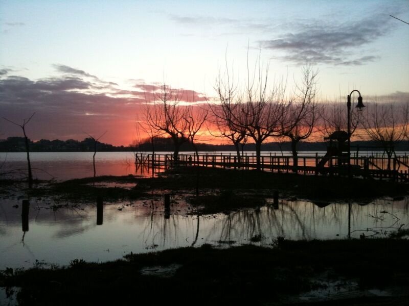 Travasso e Ois da Ribeira, Aveiro District, Portugal 5 - 13803898