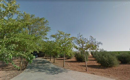 Finca a Ciudad Real, Castiglia-La Mancia, Spagna 1
