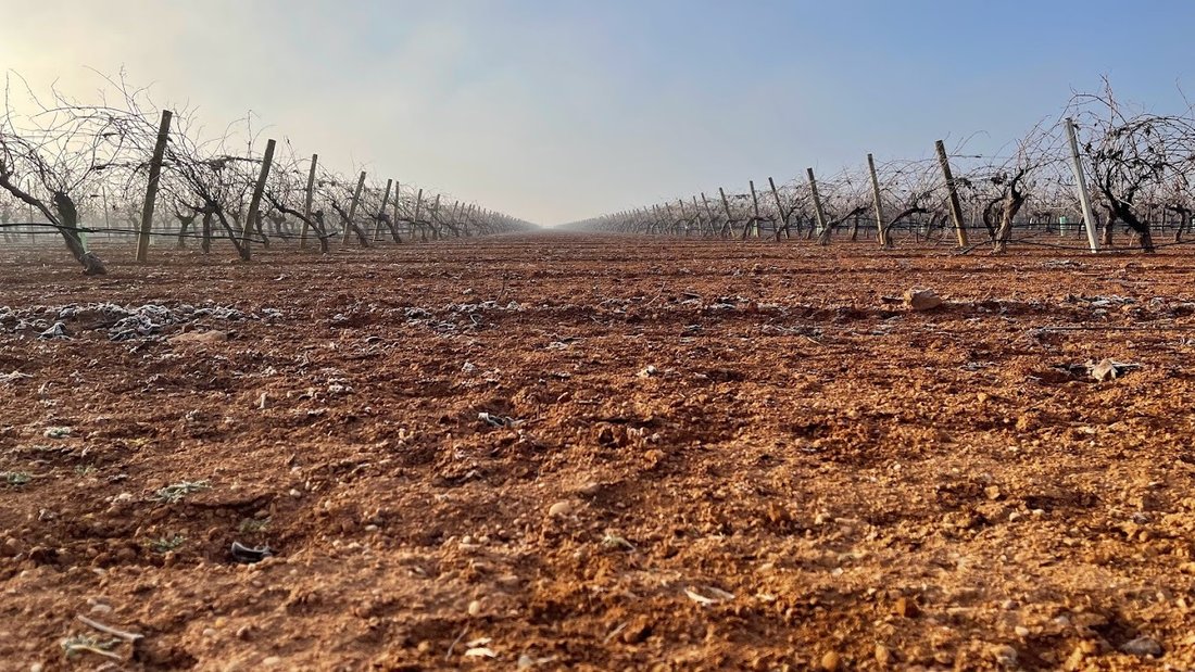 Finca in Ciudad Real, Castile-La Mancha, Spain 5 - 13812492