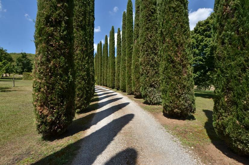 Villa in Gaiole in Chianti, Tuscany, Italy 3 - 13806415