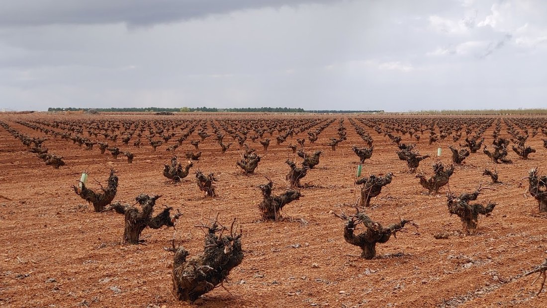 Finca in Ciudad Real, Castile-La Mancha, Spain 4 - 13812492
