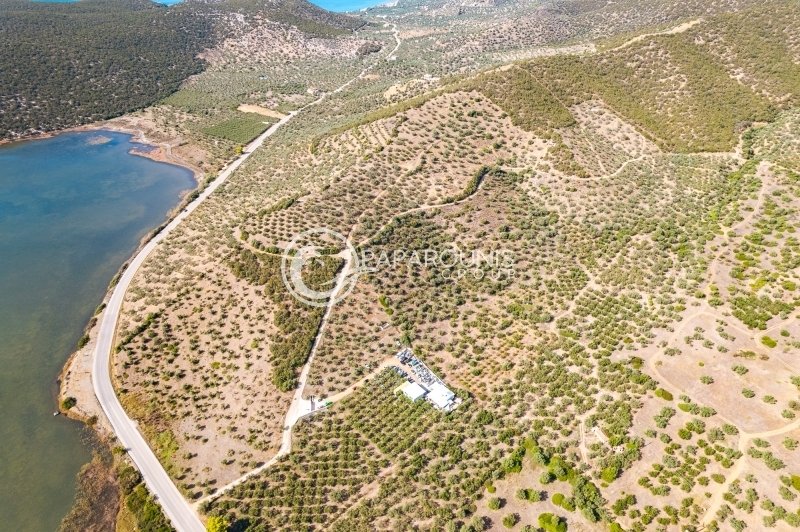 Land in Ermioni, Peloponnese, Western Greece and the Ionian, Greece 1 - 13807539