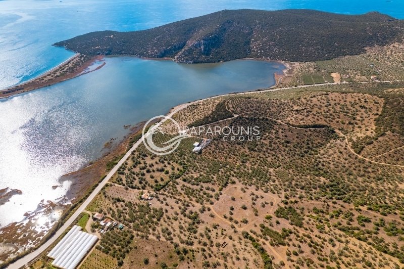 Land in Ermioni, Peloponnese, Western Greece and the Ionian, Greece 2 - 13807539