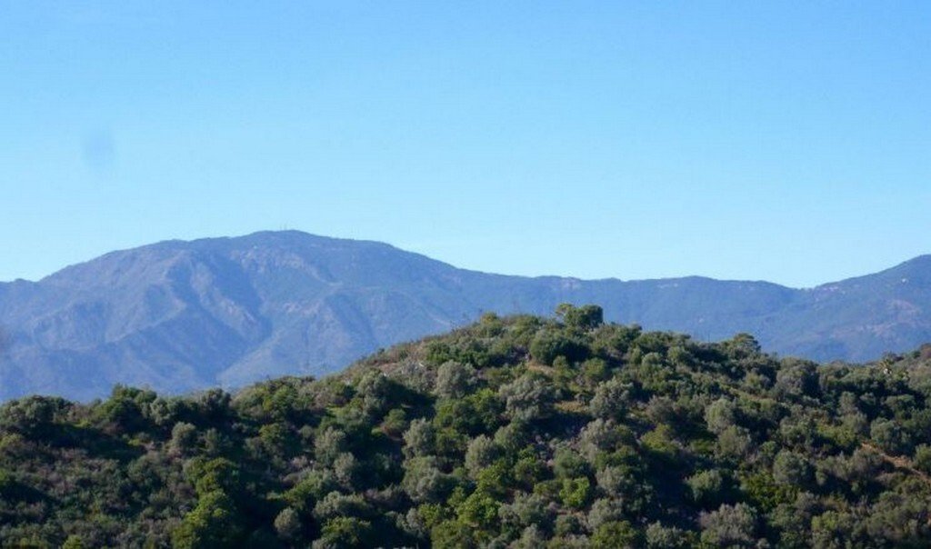 Land in Gualdalmansa, Estepona, Andalusia 5 - 13808674