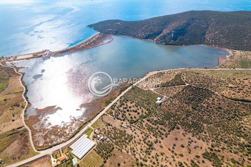 Land in Ermioni, Peloponnese, Western Greece and the Ionian, Greece 5 - 13807535