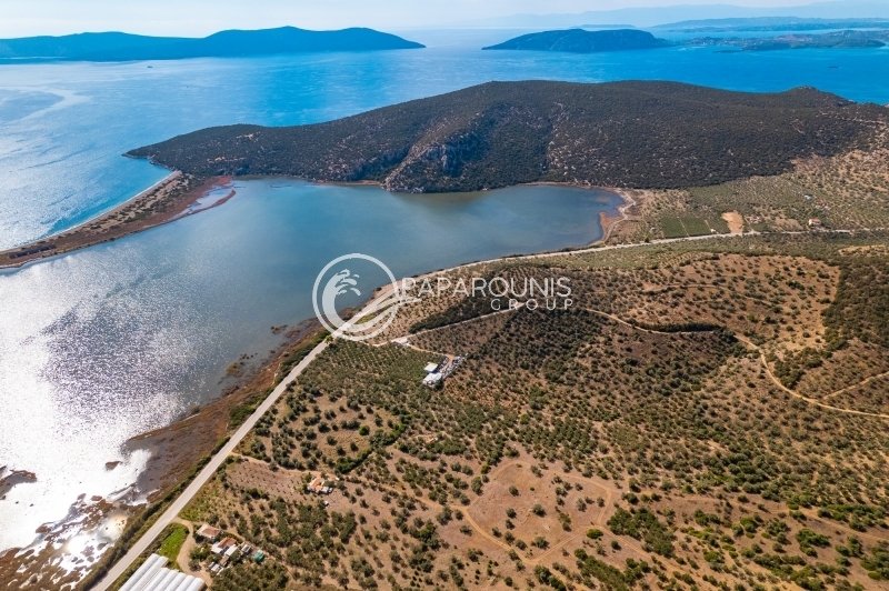 Land in Ermioni, Peloponnese, Western Greece and the Ionian, Greece 4 - 13807539