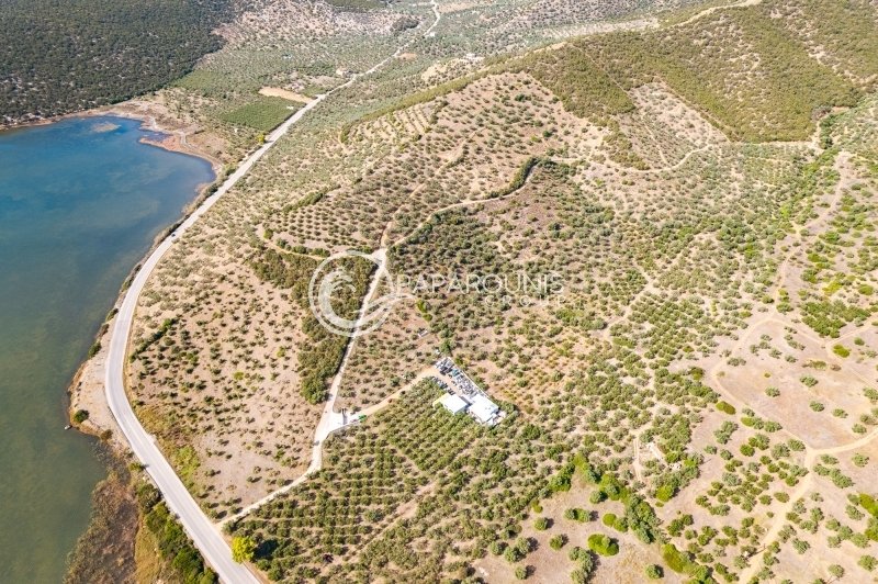 Land in Ermioni, Peloponnese, Western Greece and the Ionian, Greece 2 - 13807535