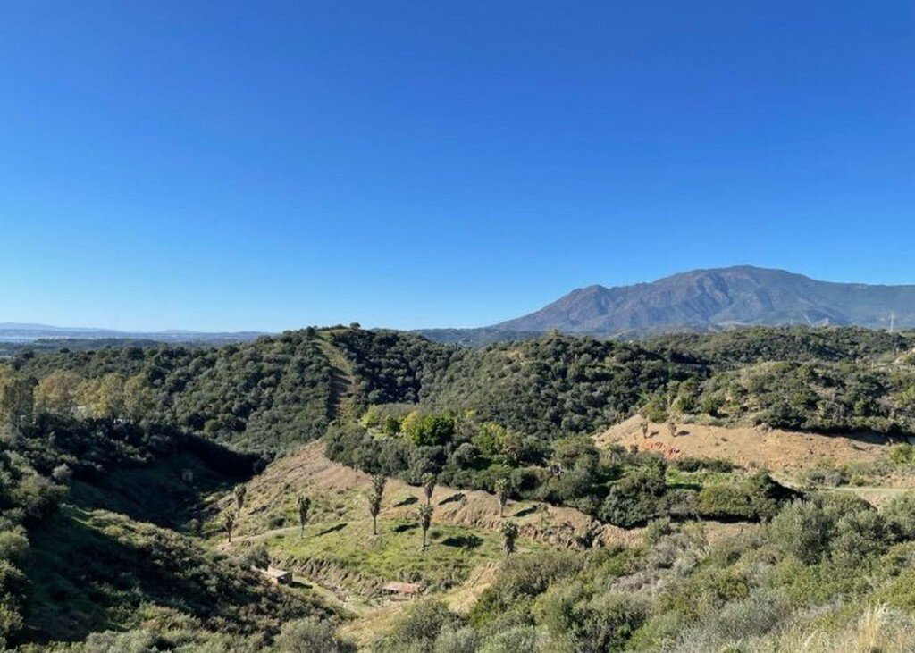 Land in Gualdalmansa, Estepona, Andalusia 2 - 13808674
