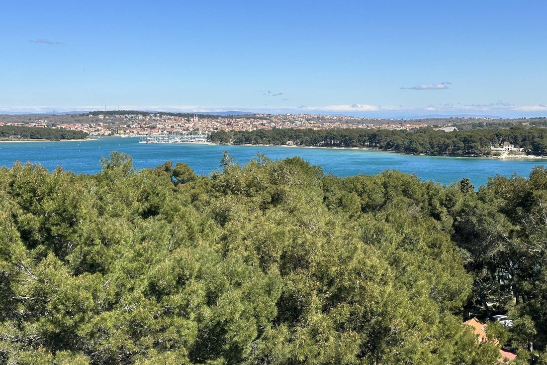 Apartment in Premantura, Istria County, Croatia 2 - 13811690