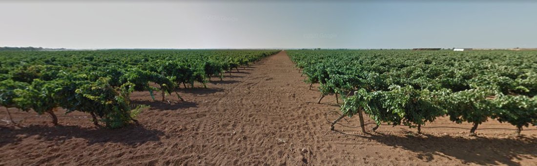 Finca in Ciudad Real, Castile-La Mancha, Spain 2 - 13812492