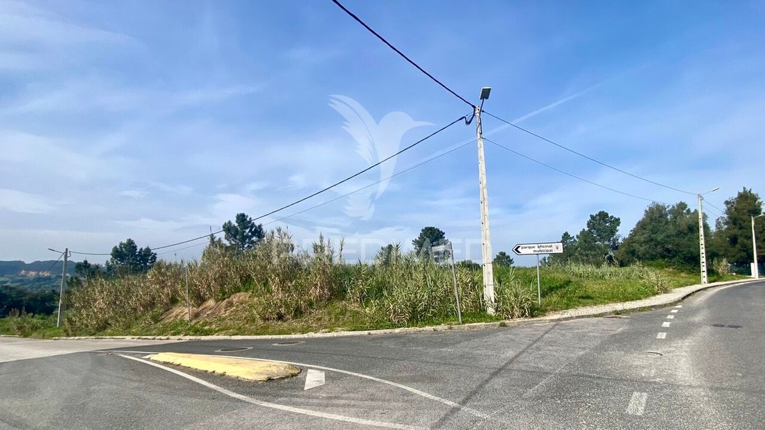 Land in Azambuja, Lissabon, Portugal 1 - 13815687