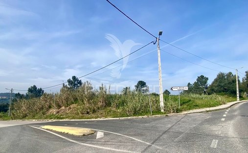 Terreno a Azambuja, Lisbona, Portogallo 1