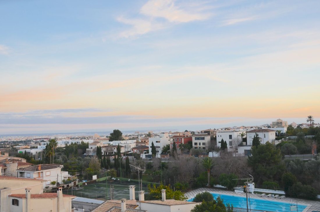 Villa in Palma, Balearic Islands, Spain 1 - 13818059