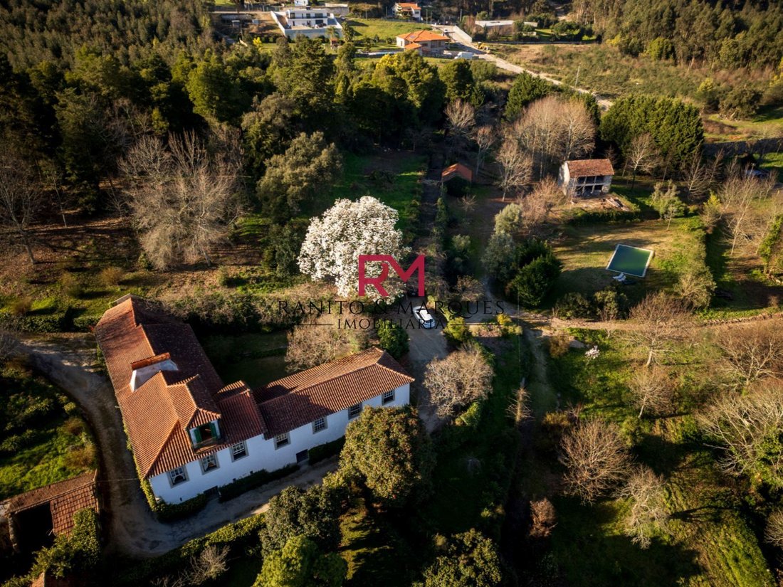 Farm Ranch in Paredes, Porto District, Portugal 1 - 13814570