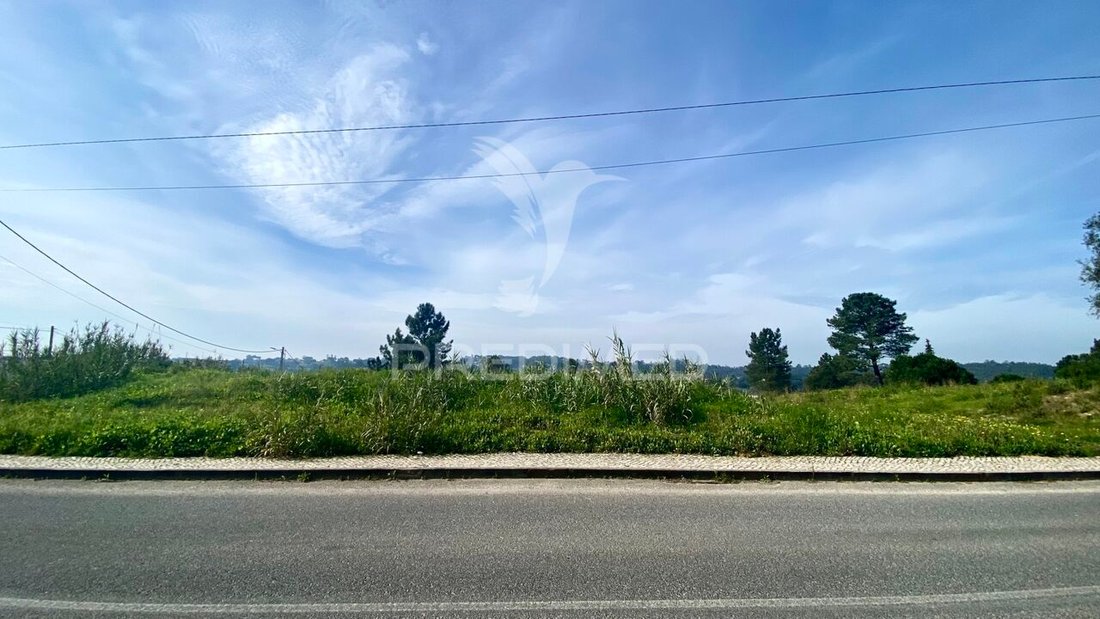 Land in Azambuja, Lissabon, Portugal 2 - 13815687