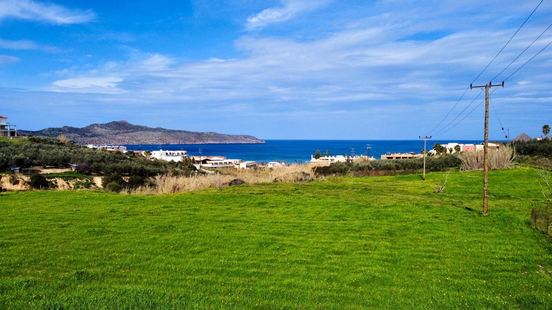 Land in Kreta, Griechenland 1 - 13822067