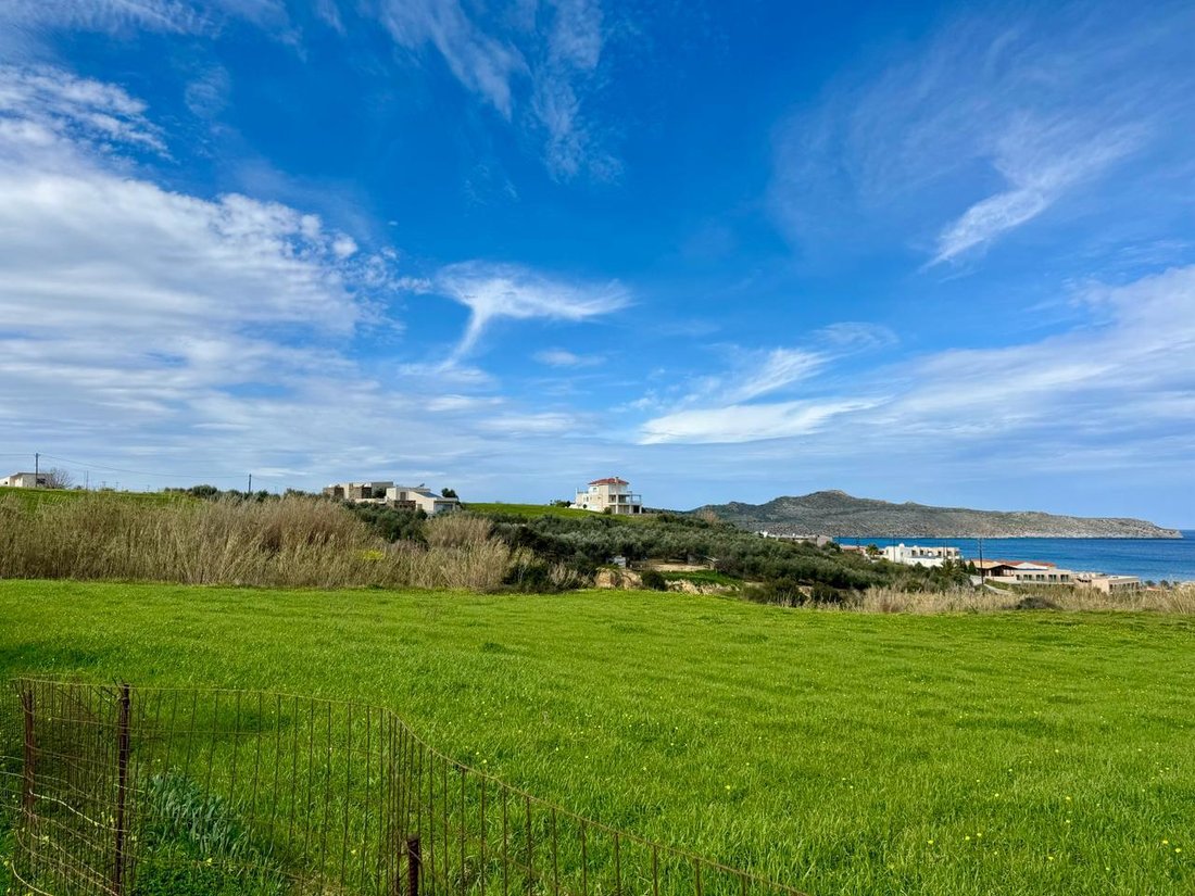 Land in Kreta, Griechenland 5 - 13822067