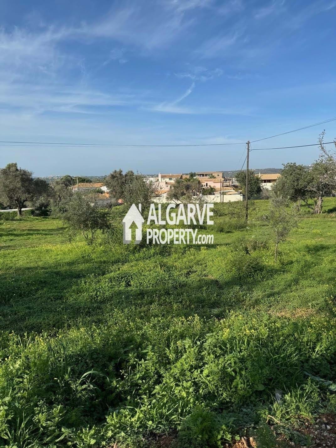 Land in Boliqueime, Algarve, Portugal 3 - 13822523