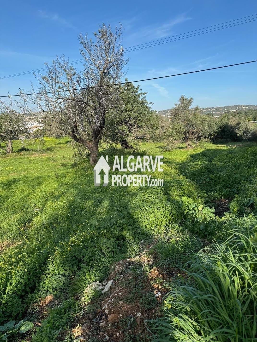 Land in Boliqueime, Algarve, Portugal 2 - 13822523