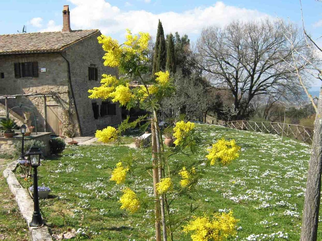 Otros en Gualdo Cattaneo, Umbría, Italia 2 - 13822929