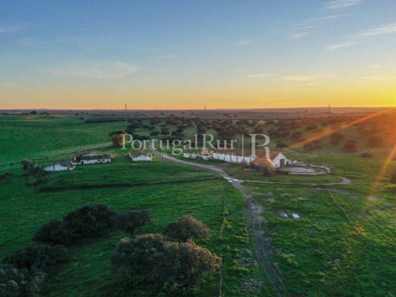 269 Ha Estate With Irrigated Land And Cork In Moura, Beja District, Portugal For Sale (13824086)