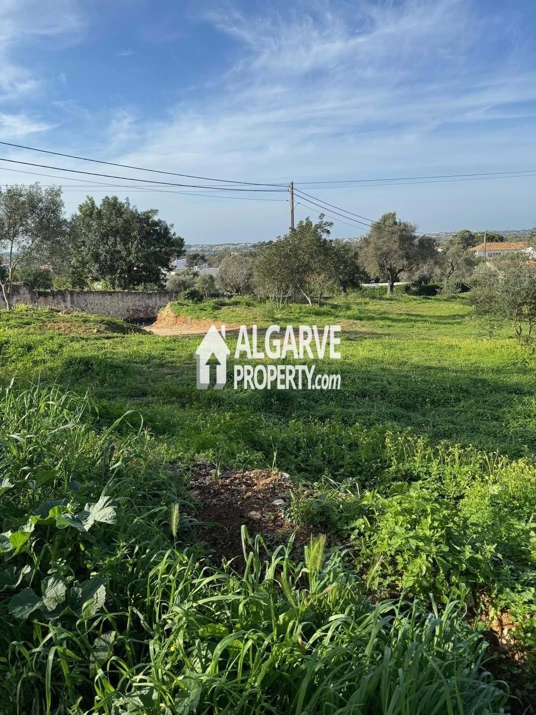 Land in Boliqueime, Algarve, Portugal 4 - 13822523
