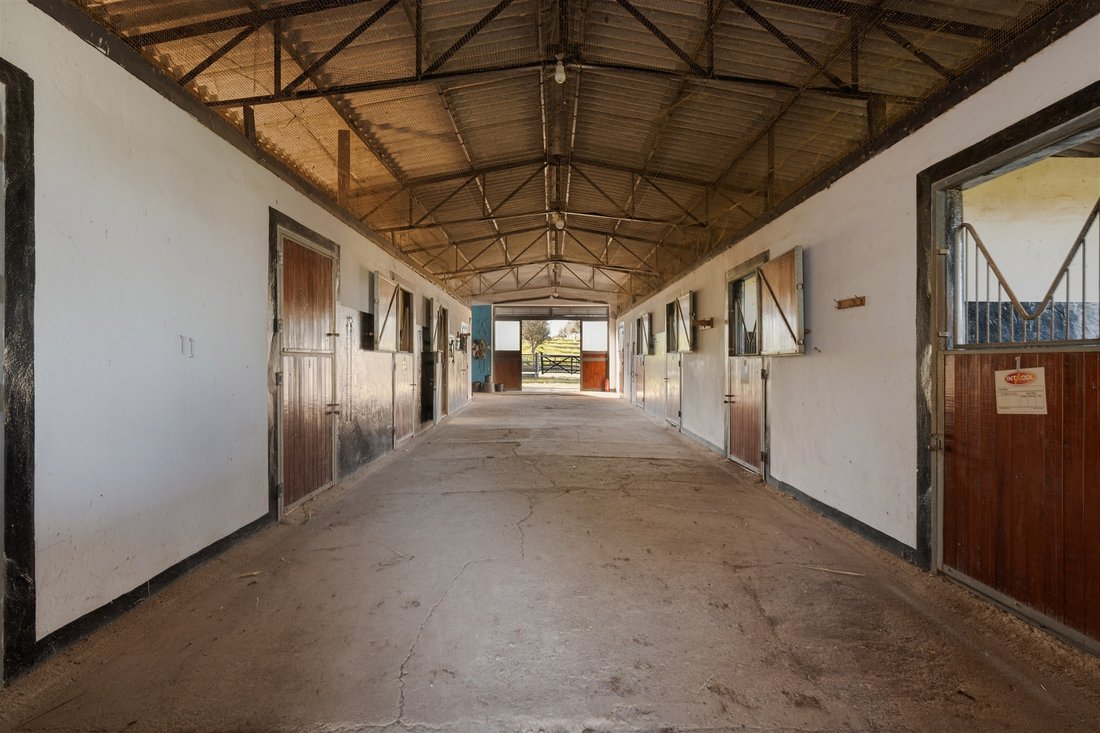 Farm Ranch in Ourique, Beja District, Portugal 1 - 1012431